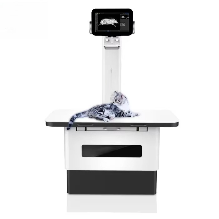 Professionelles digitales Rönt – Photography X Ray Bewertung und Preis