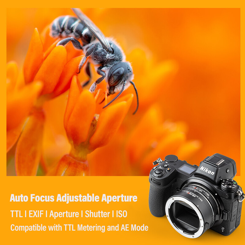 AF Makro-Verlängerungsrohr Obj – Macro Extension Tube Bewertung und Preis