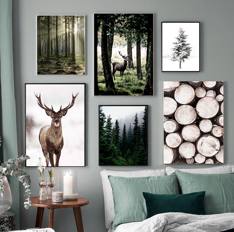 Winter Schnee Wald Hirsch Eule – Photography Nature Bewertung und Preis