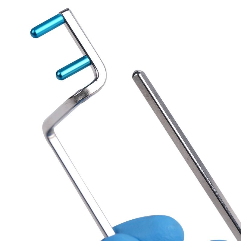 30 Stück Dental-Röntgenpositio – Photography X Ray Bewertung und Preis