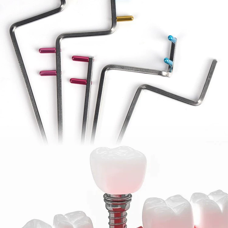 30 Stück Dental-Röntgenpositio – Photography X Ray Bewertung und Preis